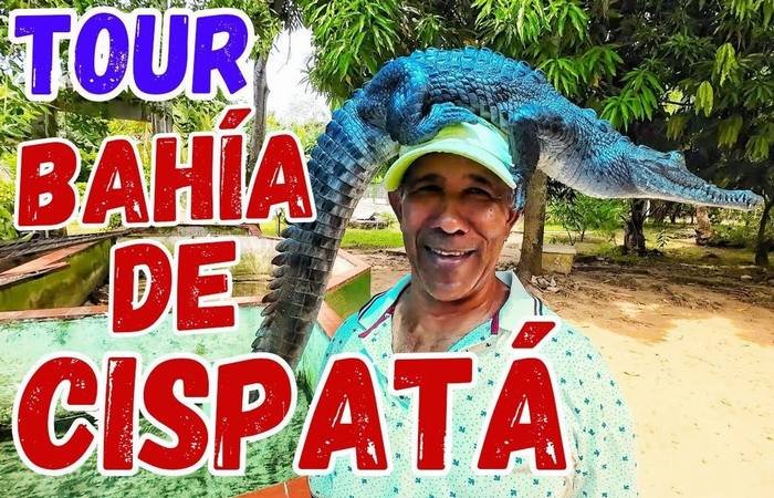 🐊 Tour Descubriendo San Antero Cispatá Caimán Alegre🌊✨
